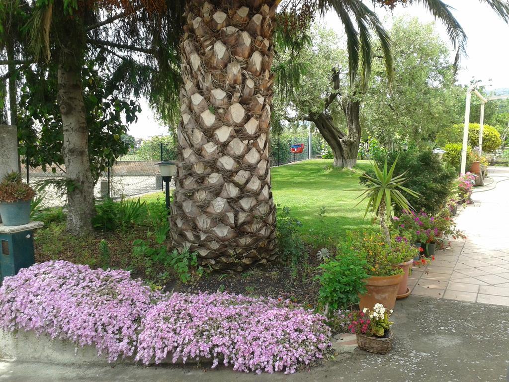 Villa Etna Piedimonte Etneo Exteriér fotografie