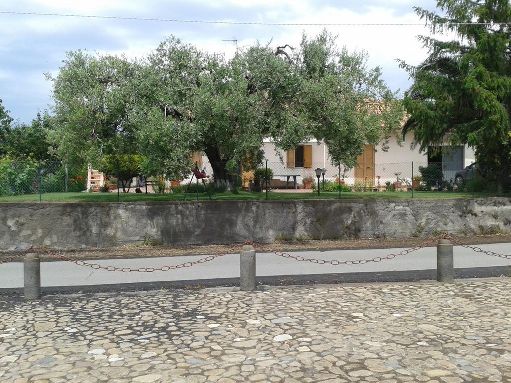 Villa Etna Piedimonte Etneo Exteriér fotografie
